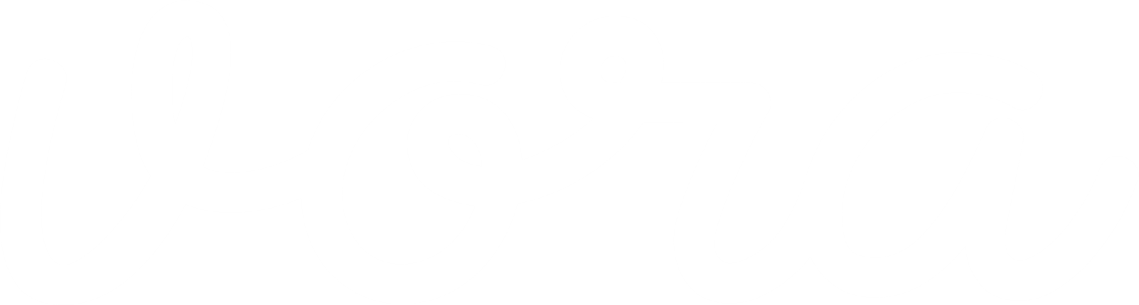 Vora